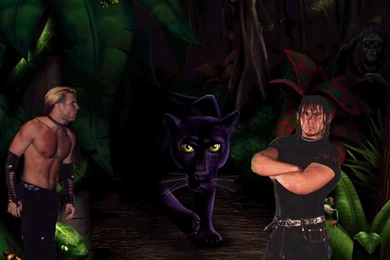 Hardy Boyz Wallpapers