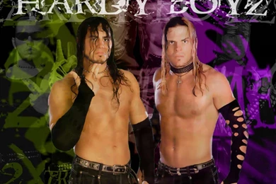 WWE The Hardy Boys