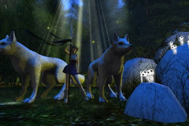 Mononoke Hime 23 Desktop Wallpapers Hivewallpaper.com