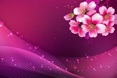 1920x1080px Pink Wallpapers Free Download