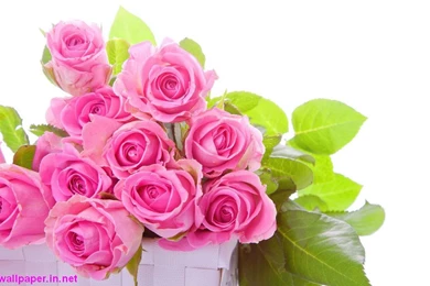 Colorful Bouquet Rose HD Wallpapers Free Download.jpg