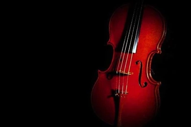 Red Violin Wallpapers   Google Search