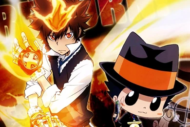 Katekyo Hitman Reborn   (