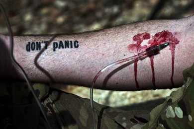 BLOODY WALLPAPER   Tamar20 Photo (30628292)   Fanpop