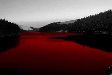 BLOODY WALLPAPER   Tamar20 Wallpapers (30628119)   Fanpop