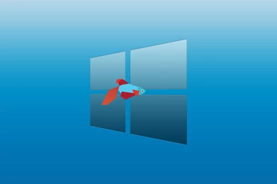 Desktop Wallpapers For Windows 8 Free Download