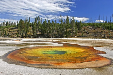 Yellowstone National Park Wallpapers And Photos