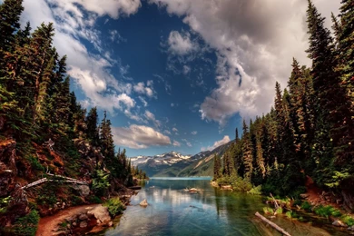 Yellowstone National Park Wallpapers And Photos