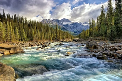 Swiss National Park Wallpapers   Nature Wallpapers