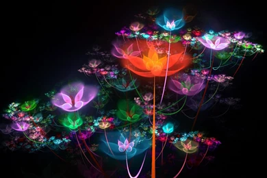 Digital Graphics Hd Wallpapers