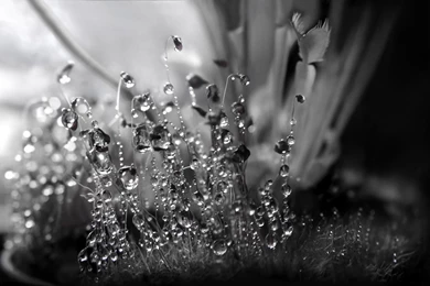 Crystal Backgrounds   1443687