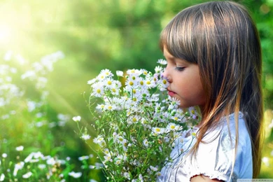Child And Flowers HD Desktop Wallpapers : Widescreen : High ...