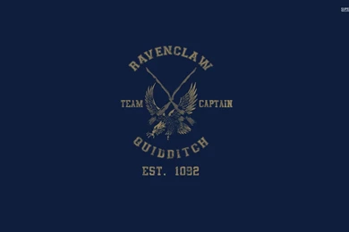 Ravenclaw Quidditch Wallpapers   194680