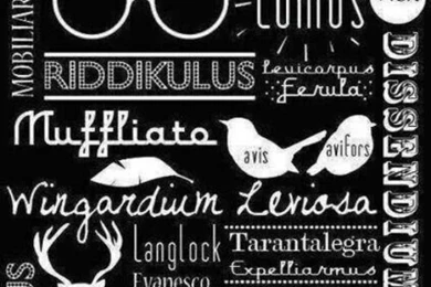 Muggles Won't Understand