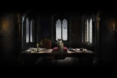 Harry Potter Wallpapers Tumblr Pic New Posts Wallpapers Hd Widescreen Harry Potter