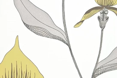Orchid Designer Floral Wallpapers Yellow
