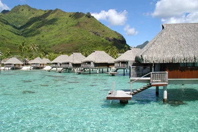 Tahiti Beach Hd Wallpapers ›› Page 0