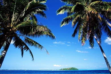 Free Wallpapers   Free Travel Wallpapers   Tahiti 4 Wallpapers ...