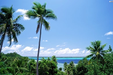 YouWall   Tahiti Wallpapers   Wallpaper,wallpapers,free Wallpapers ...