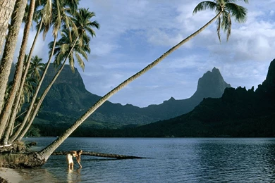 13346_1280x1024 wallpaper cb1361822778.jpg