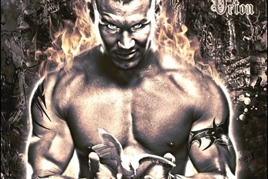 Browse Art   DeviantArt