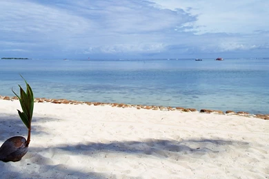 YouWall   Tahiti Beach Wallpapers   Wallpaper,wallpapers,free ...