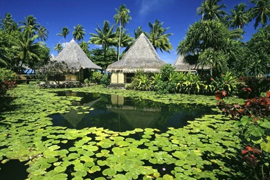 Tahiti HD Wallpapers And Backgrounds