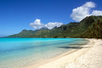 Image De Fond D' Ecran On Pinterest