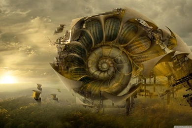 Nautilus Shell HD Desktop Wallpapers : High Definition : Fullscreen ...