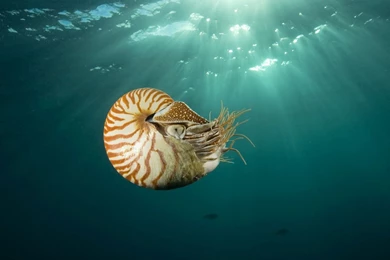 1242_1280x1024 wallpaper cb1425507629.jpg