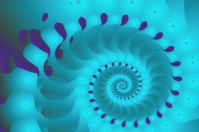 Chambered Nautilus Wallpapers   Fractal Art Gallery