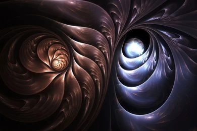 Nautilus Abstract Wallpapers (24283) Wallpaperesque
