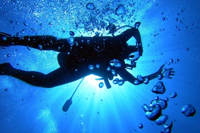 Free Scuba Diving Wallpapers   Wallpapers Cave