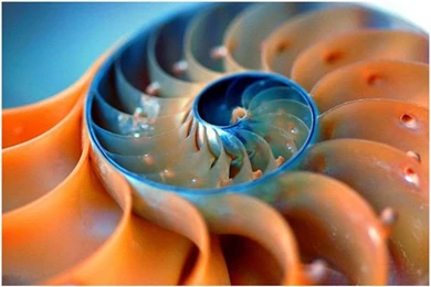 Thursday Salute To Originals: Patterns – More Than Just Wallpapers ...