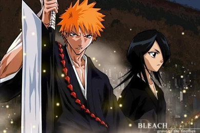 Ichigo & Rukia   Kurosaki Ichigo Wallpapers (33594816)   Fanpop