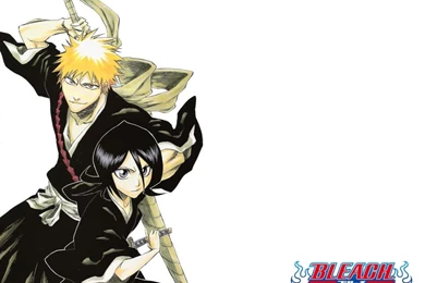 Ichigo And Rukia Wallpapers By Nourasiadragon On DeviantArt