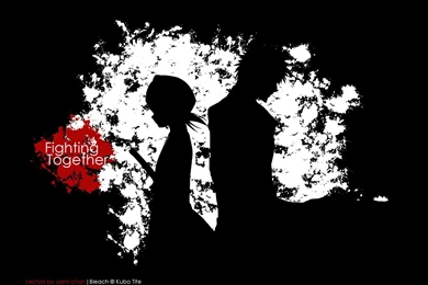 Ichigo Rukia Wallpapers   Wallpapers Cave