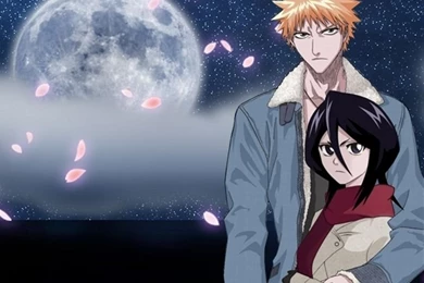 Ichiruki 4ever   Bleach Ichigo And Rukia Wallpapers (2420893)   Fanpop