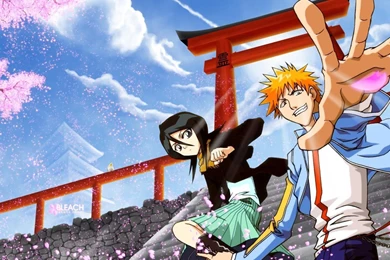 Ichigo & Rukia   Bleach Ichigo And Rukia Wallpapers (20892133)   Fanpop