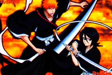 ICHIGO AND RUKIA WALLPAPER   (