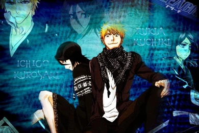 Ichigo And Rukia   (