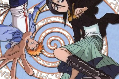 Ichigo & Rukia   Bleach Ichigo And Rukia Wallpapers (25347631)   Fanpop