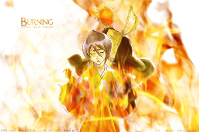Ichigo And Rukia   Bleach Forever Wallpapers (30366408)   Fanpop