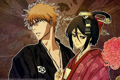 IchiRuki   Ichigo & Rukia   Sun & Moon   Photo (33076411)   Fanpop