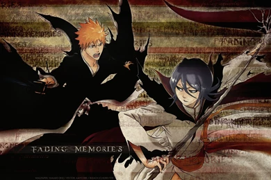 Bleach Kuchiki Rukia Kurosaki Ichigo Wallpapers   (
