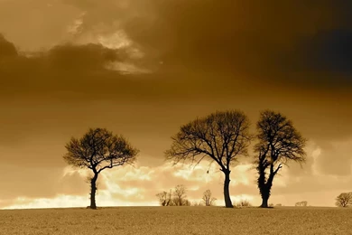 Wallpapers Shisha Free Gallery Hd Notebook Prairie 1366x768 ...