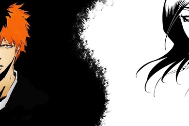 Ichigo E Rukia Wallpapers