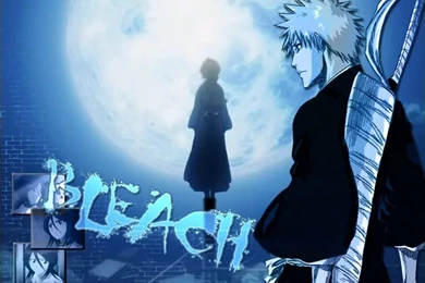 Ichigo And Rukia Wallpapers Photo By Memories_in_the_rain