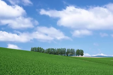 Desktop Wallpapers · Gallery · HD Notebook · Grassy Hills Laptop ...