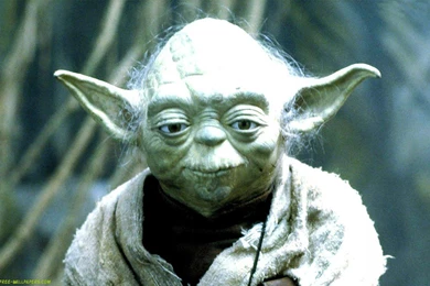 Yoda Wallpapers